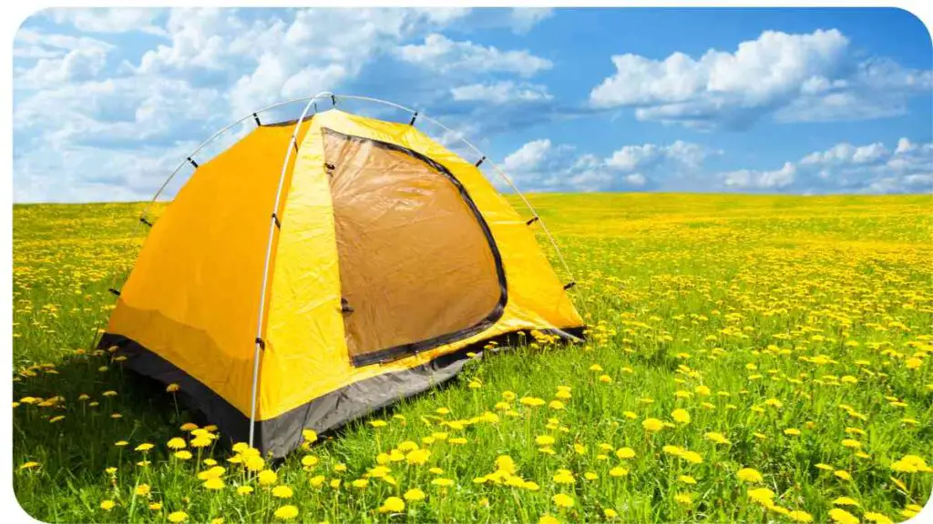 Cleaning Your Tent Step by Step Guide